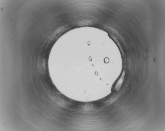 X0000069400308200606091748