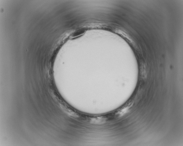 X0000069400309200606091748