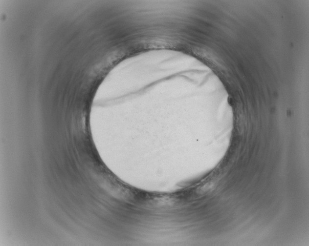 X0000069400310200606091748