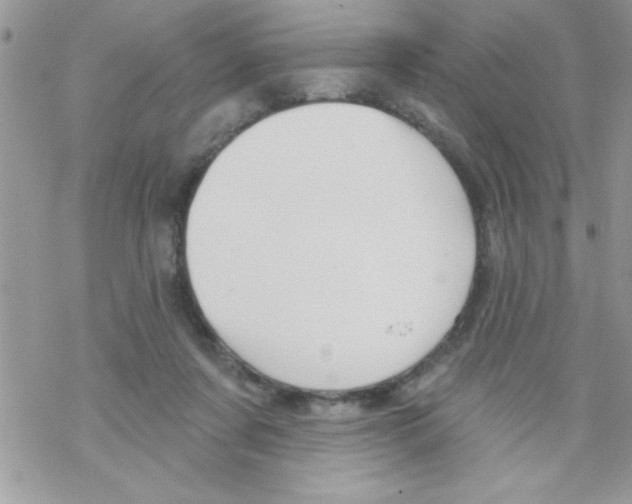 X0000069400311200606091748