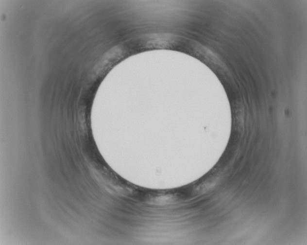 X0000069400312200606091748