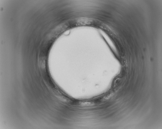 X0000069400315200606091748