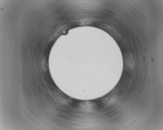 X0000069400316200606091748