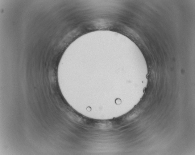 X0000069400317200606091748