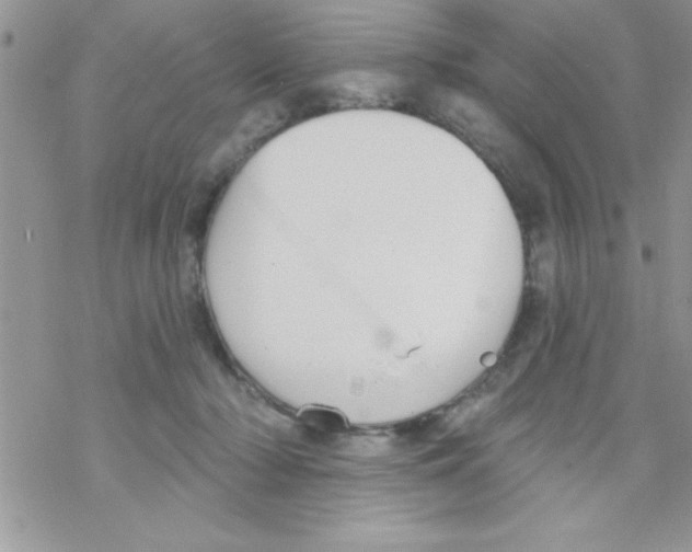 X0000069400318200606091748