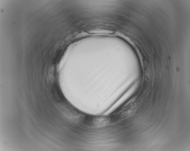 X0000069400319200606091748