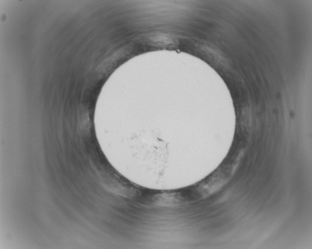 X0000069400320200606091748