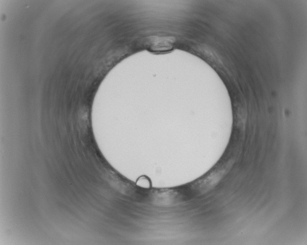 X0000069400321200606091748