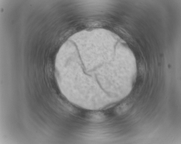 X0000069400322200606091748