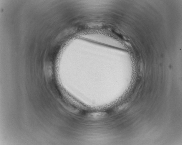 X0000069400323200606091748