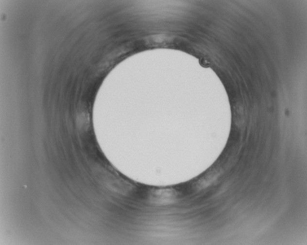 X0000069400324200606091748