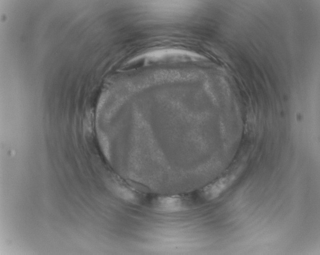 X0000069400325200606091748