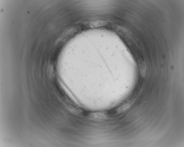 X0000069400327200606091748