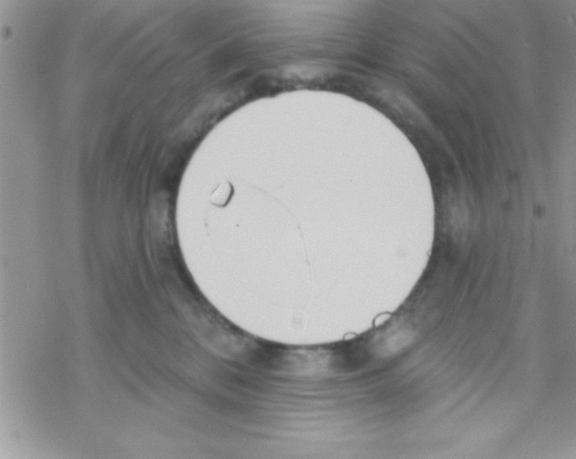 X0000069400328200606091748