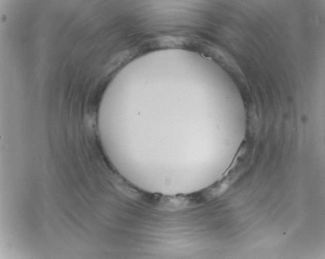 X0000069400329200606091748