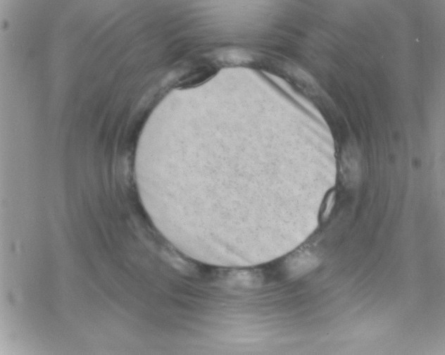 X0000069400330200606091748