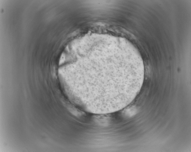 X0000069400331200606091748