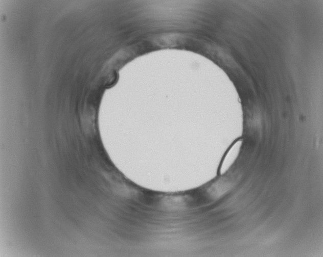 X0000069400332200606091748