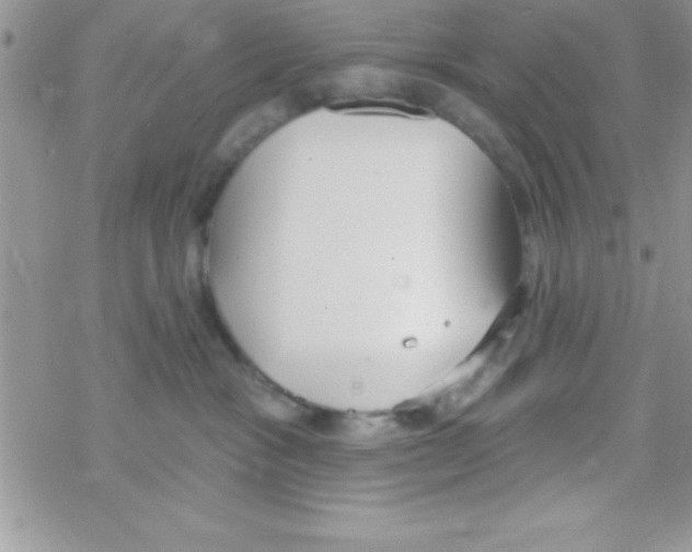 X0000069400333200606091748