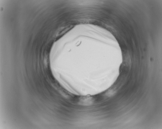 X0000069400334200606091748