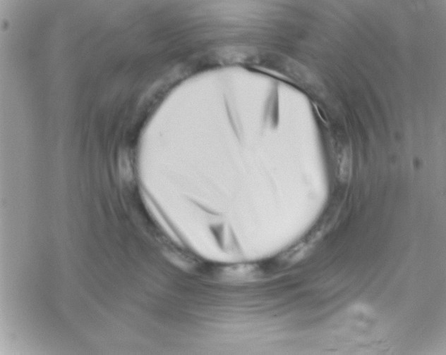 X0000069400335200606091748