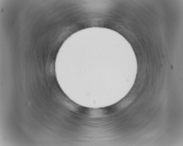 X0000069400336200606091748