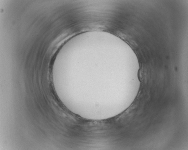 X0000069400338200606091747