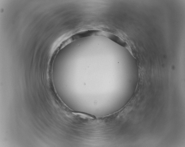 X0000069400340200606091747