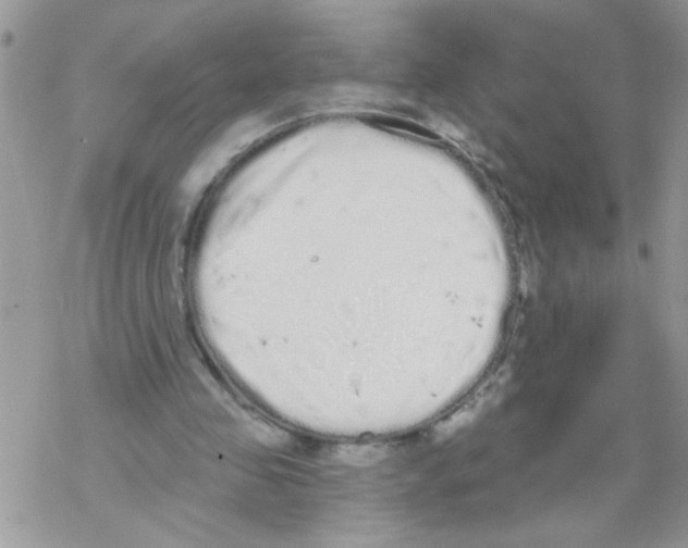 X0000069400341200606091747