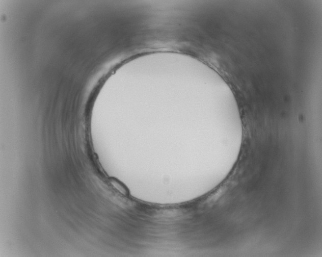 X0000069400342200606091747