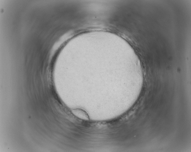 X0000069400343200606091747