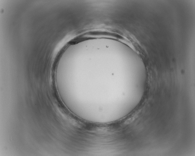 X0000069400344200606091747