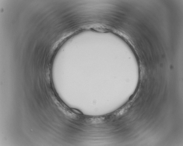 X0000069400345200606091747