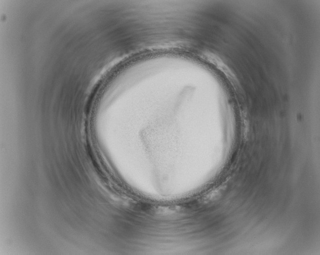 X0000069400346200606091747