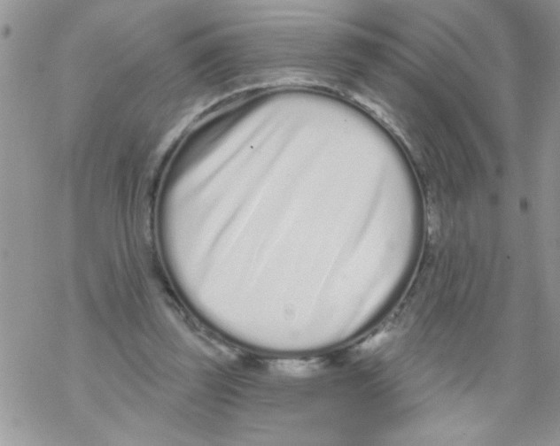 X0000069400347200606091747