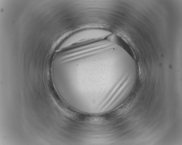 X0000069400348200606091747