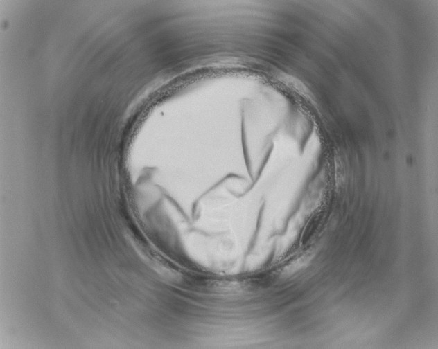 X0000069400349200606091747