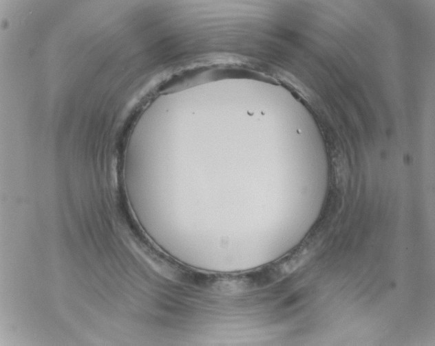 X0000069400350200606091747