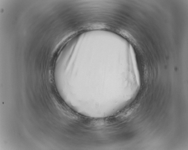 X0000069400351200606091747