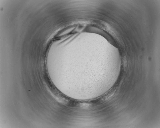 X0000069400352200606091747