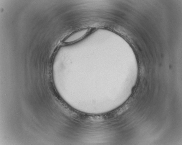 X0000069400353200606091747