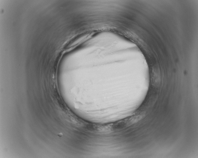 X0000069400355200606091747