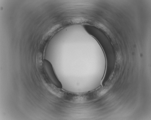 X0000069400356200606091747