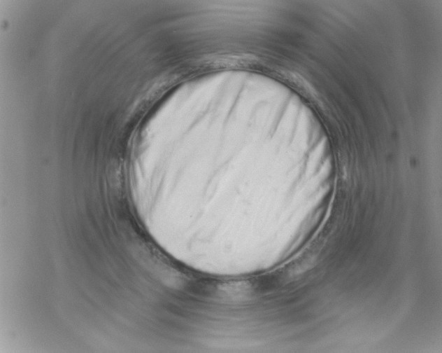 X0000069400357200606091747