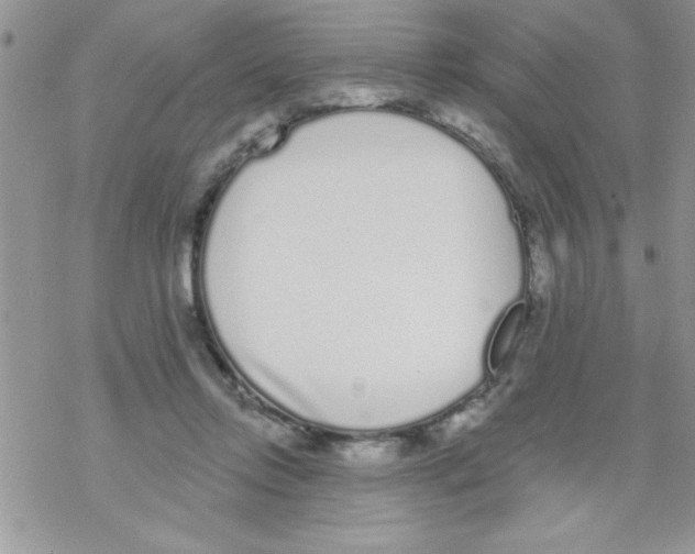 X0000069400358200606091747