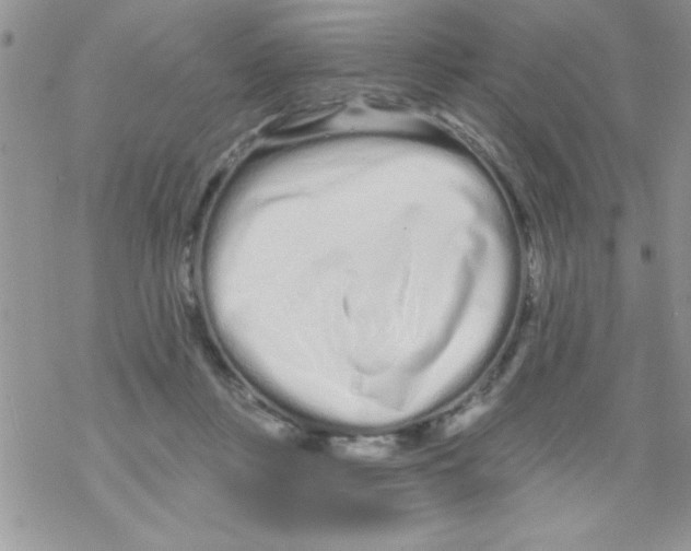 X0000069400359200606091747