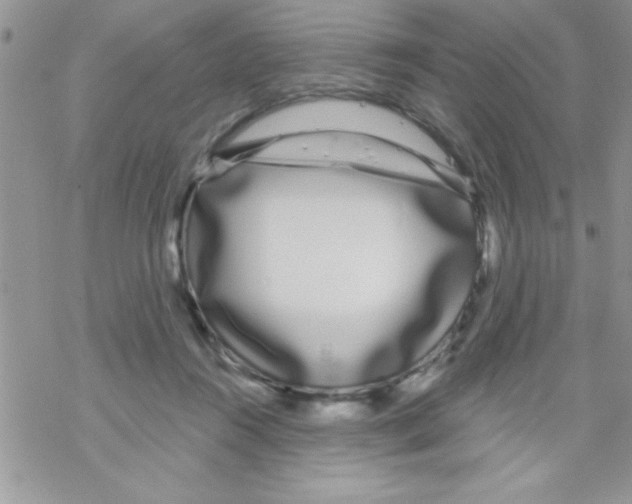 X0000069400360200606091747