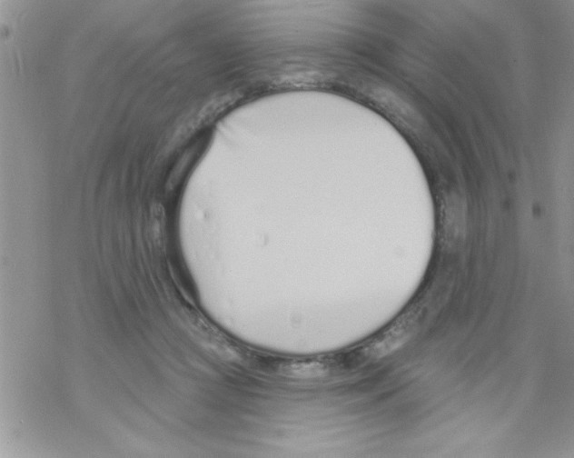 X0000069400361200606091747