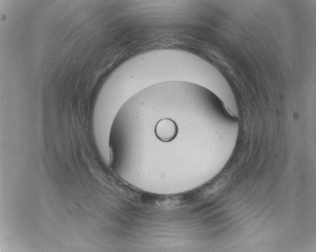 X0000069400362200606091747