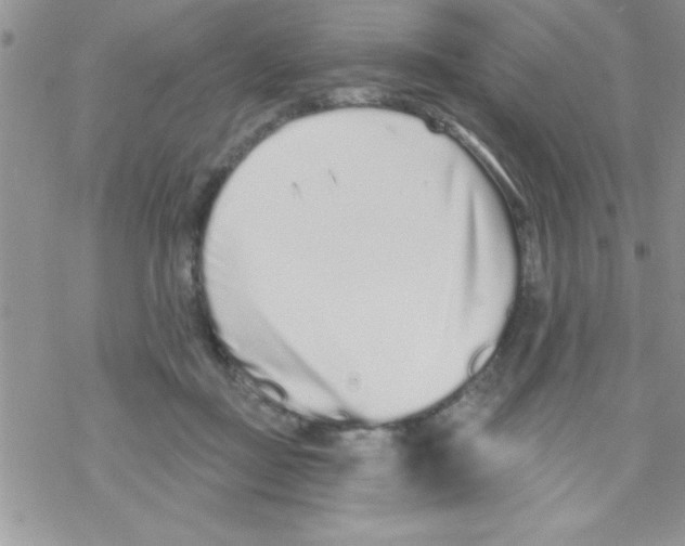 X0000069400363200606091747